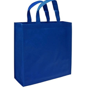 Bolsa