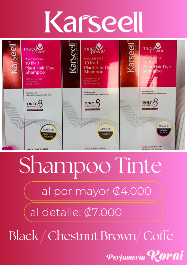 PROMO SHAMPOO TINTE KARSEELL