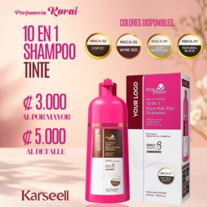 SHAMPOO TINTE KARSEELL