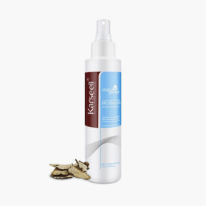 A* TERMOPROTECTOR KARSEELL 200ML