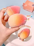 INSTA-READY ESPONJA PARA POLVO